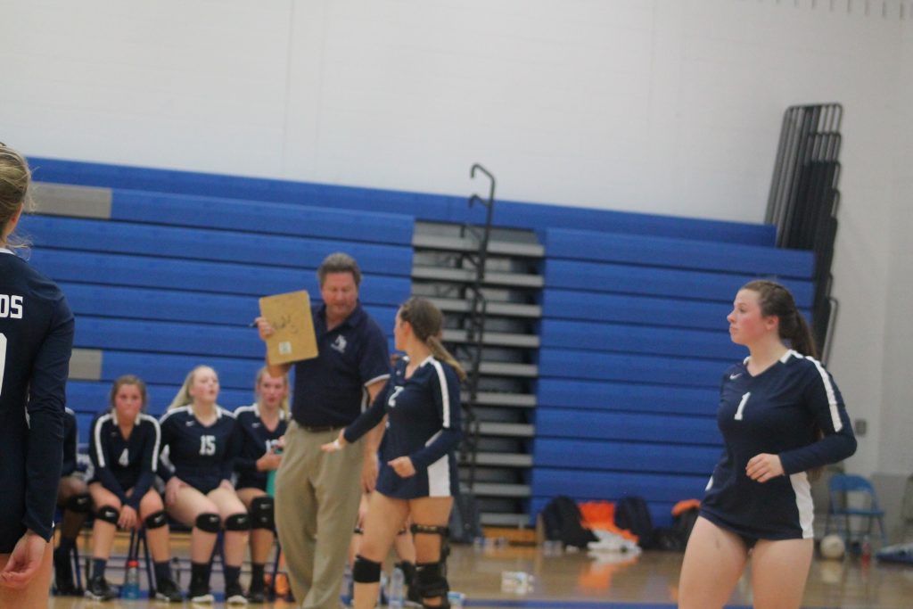 bluefish volleyball bluefish volleyball