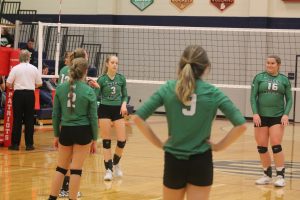 Grace Schlaud Is Going To Be The One To Watch Out For The Brown City Green Devils Volleyball Team In 2020.