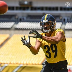 Minkah Fitzpatrick Is Going To Have A Good 2021 Campaign For The Pittsburgh Steelers Football Team On Defense.