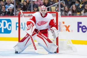 Alex Nedeljkovic Excellent Performance At Goalie For The Detroit Red Wings……