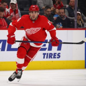 Robby Fabbri Been A Difference Maker For The Detroit Red Wings Hockey Team…….