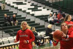 Brookelyn Jansen Remarkable Season For The Sandusky Wolves Girls Basketball Team…….