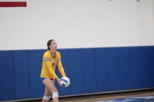 Rachel Van Dyk & Emma Keeping Lead The Way For The Imlay City Spartans Volleyball Team………