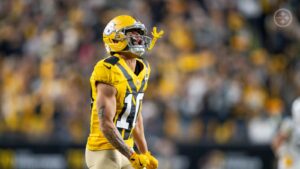 Roman Wilson Good WR For The Pittsburgh Steelers Football Team….